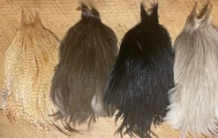 Metz Grade 3 Rooster Capes