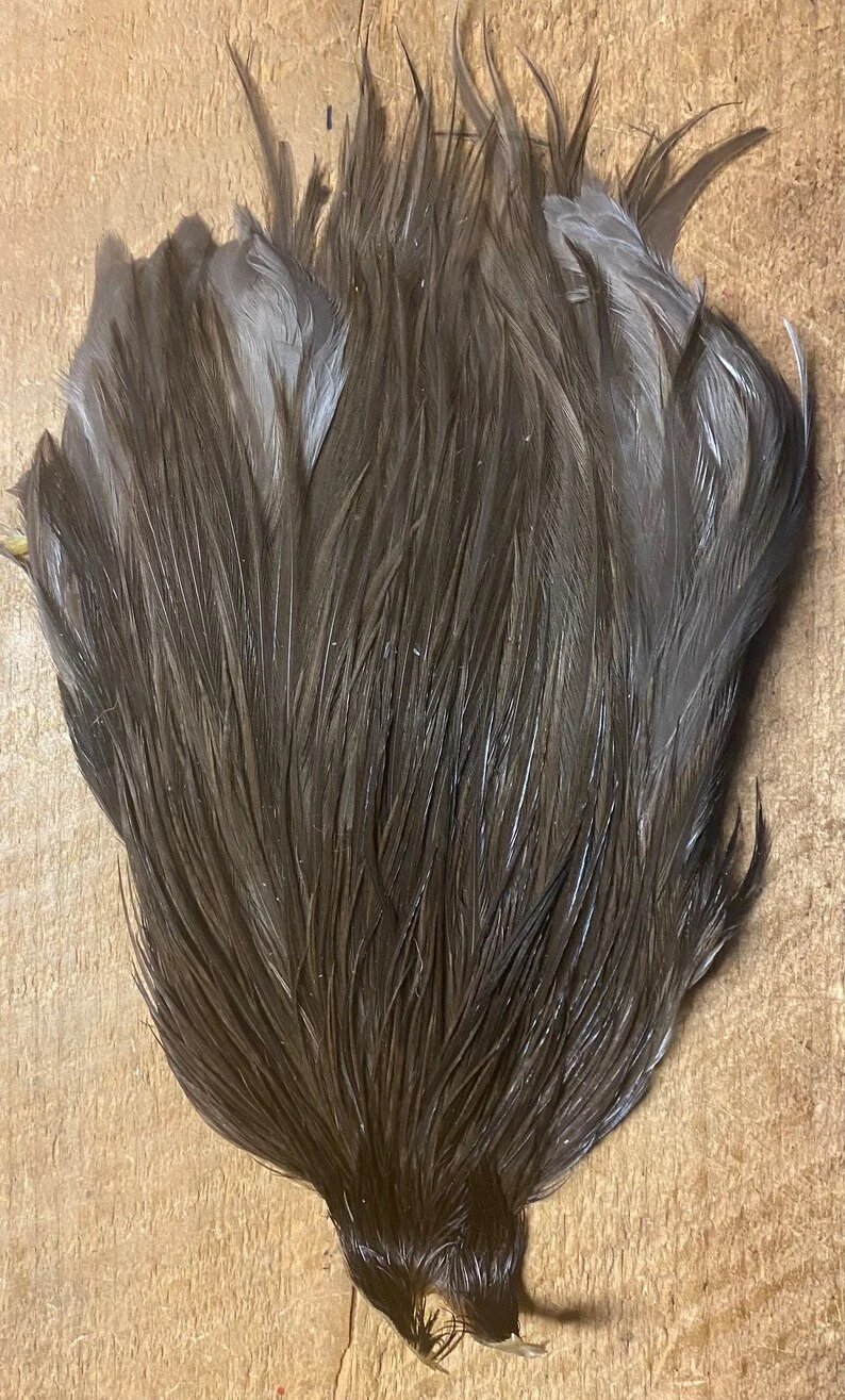 Metz Grade 3 Rooster Capes 8 Metz Grade 3 Rooster Capes - Image 6