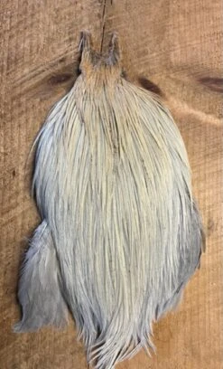 Metz Champagne Rooster Cape