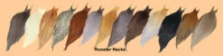 Metz Grade 3 Rooster Capes 19 Metz Grade 3 Rooster Capes -Fly Fishing Equipment Shop metzchartn