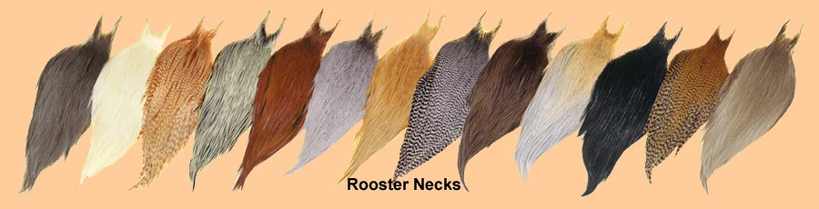 Metz Grade 3 Rooster Capes 11 Metz Grade 3 Rooster Capes - Image 9