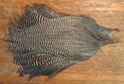 Metz Grade 3 Rooster Capes 12 Metz Grade 3 Rooster Capes -Fly Fishing Equipment Shop metzgriz