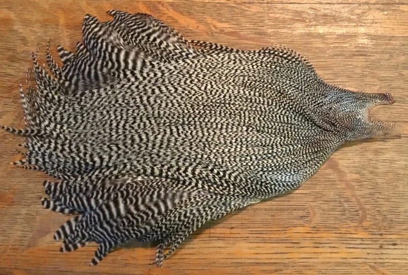 Metz Grade 3 Rooster Capes 4 Metz Grade 3 Rooster Capes - Image 2