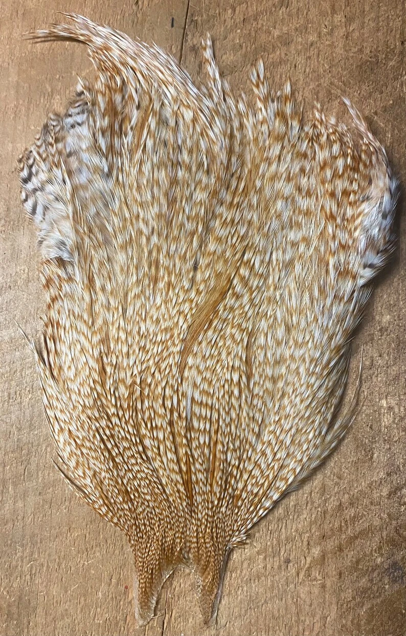 Metz Grade 3 Rooster Capes 9 Metz Grade 3 Rooster Capes - Image 7