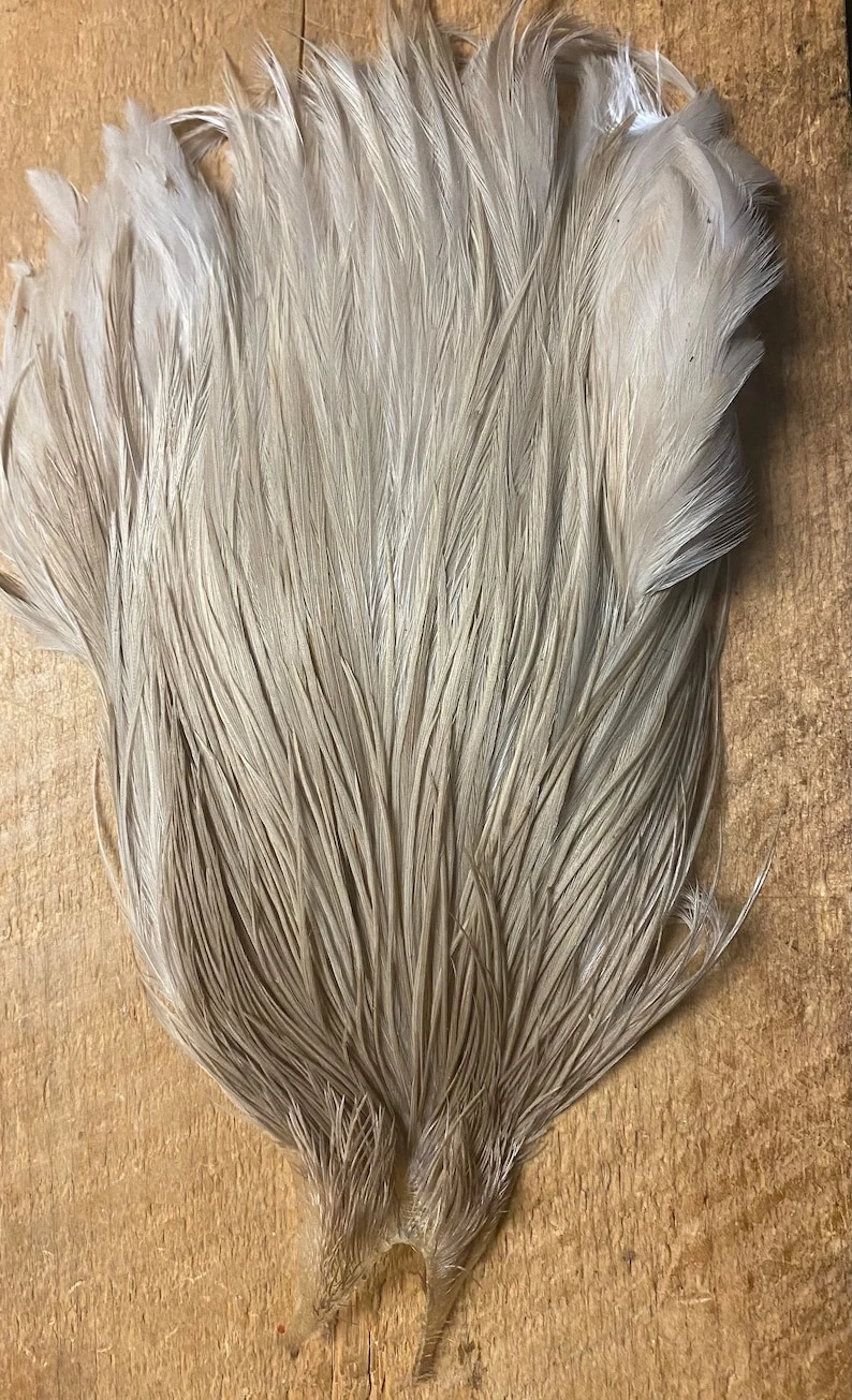 Metz Grade 3 Rooster Capes 6 Metz Grade 3 Rooster Capes - Image 4