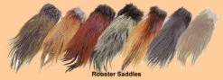 Metz Grade 3 Rooster Saddles 9 Metz Grade 3 Rooster Saddles -Fly Fishing Equipment Shop metzsaddle1