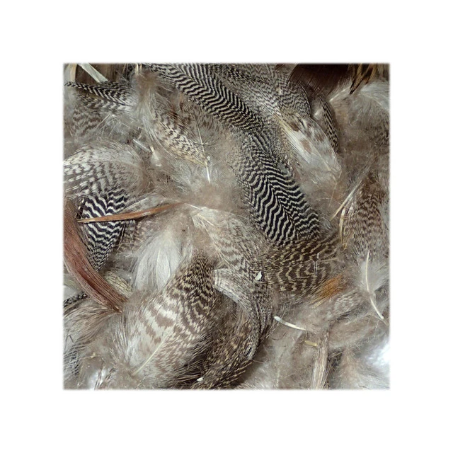 Mixed Duck Flank 3 Mixed Duck Flank