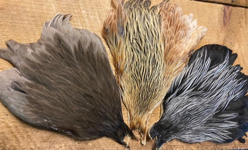 Metz Natural Variant Hen Capes 3 Metz Natural Variant Hen Capes