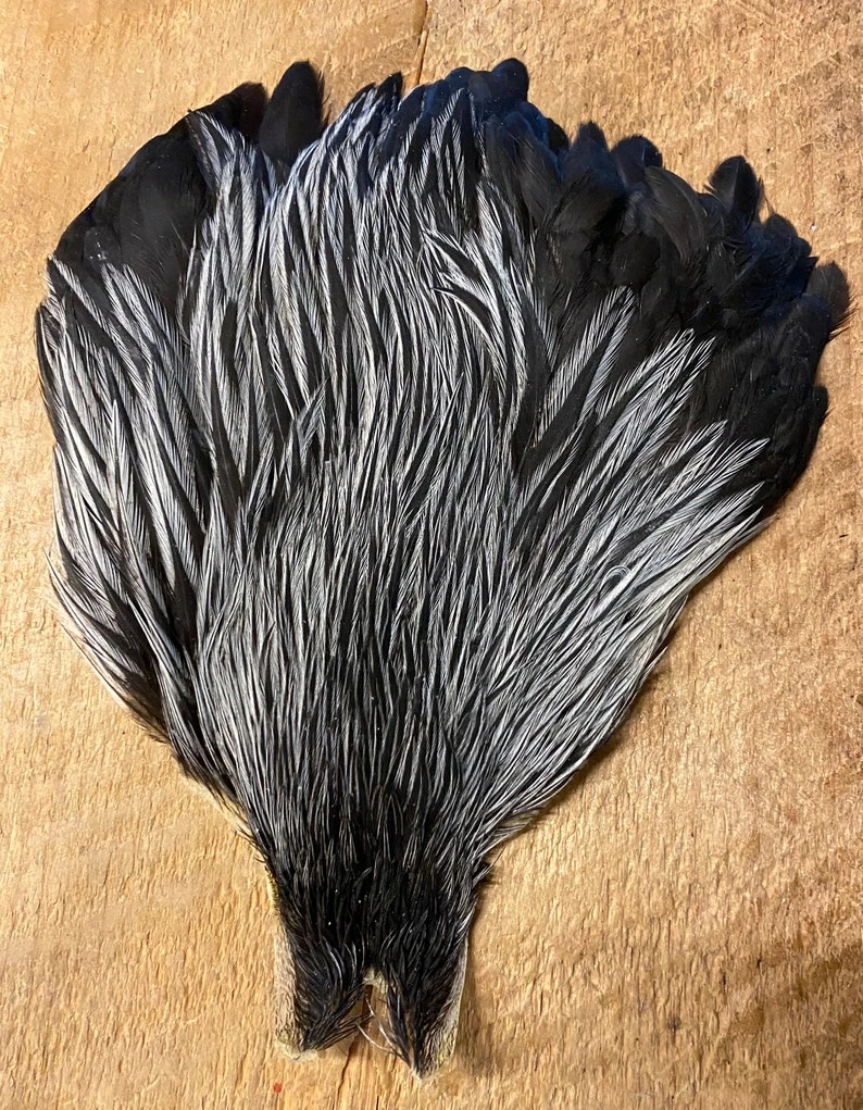 Metz Natural Variant Hen Capes 4 Metz Natural Variant Hen Capes - Image 2