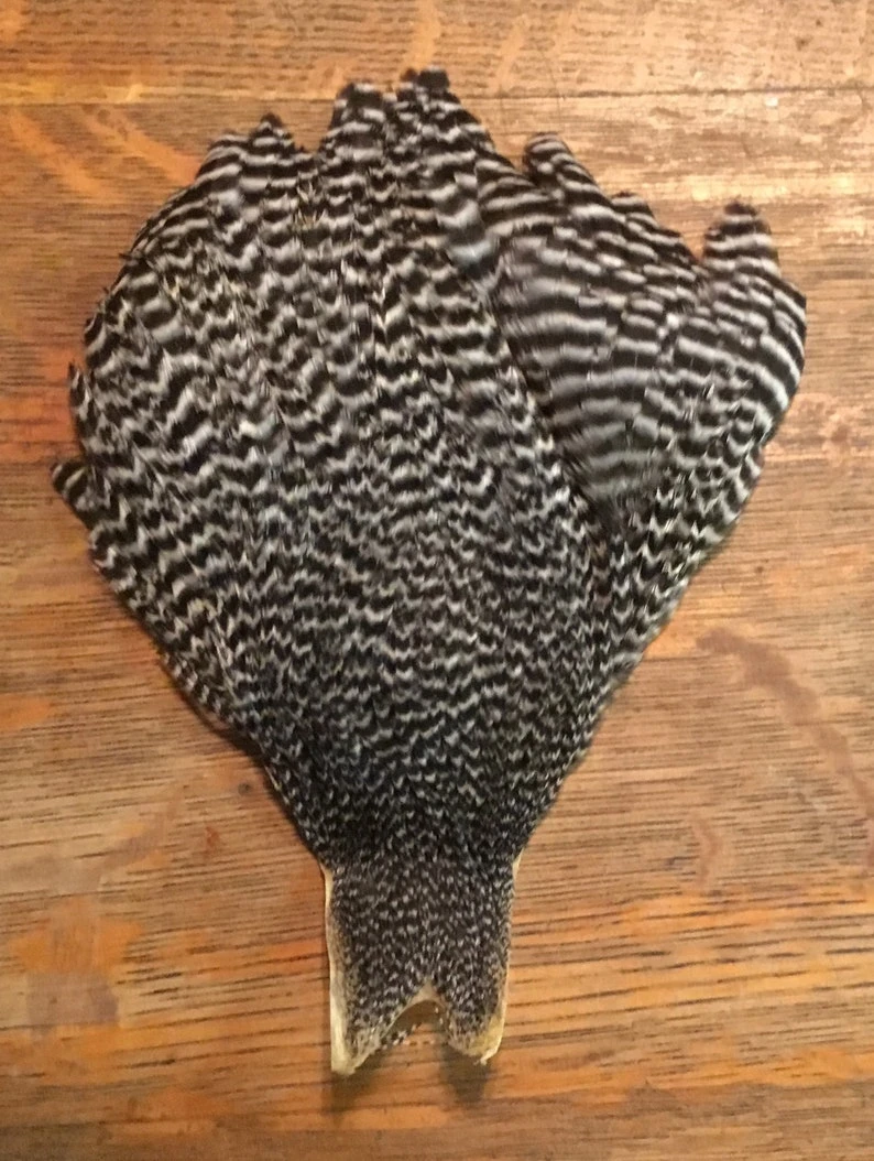 Metz Natural Hen Capes 4 Metz Natural Hen Capes - Image 2