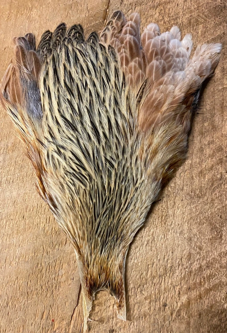 Metz Natural Variant Hen Capes 5 Metz Natural Variant Hen Capes - Image 3