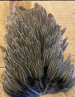 Metz Speckled Hen Saddles 9 Metz Speckled Hen Saddles -Fly Fishing Equipment Shop mmhs3