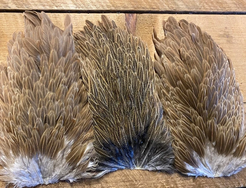 Metz Speckled Hen Saddles 6 Metz Speckled Hen Saddles - Image 4