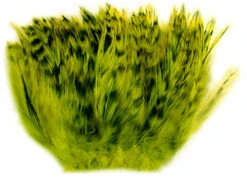 Wapsi Strung Neck Hackle Variant And Dyed Over White 8 Wapsi Strung Neck Hackle Variant And Dyed Over White -Fly Fishing Equipment Shop neckhackle