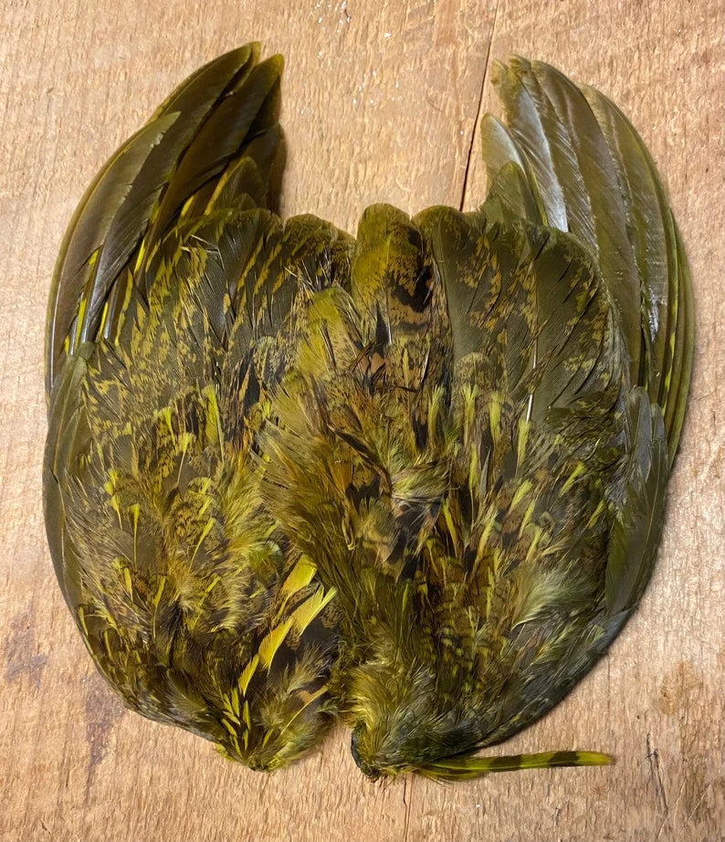 Ruffed Grouse Wing Pairs Natural And Dyed 6 Ruffed Grouse Wing Pairs Natural And Dyed - Image 4