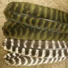 Nature’s Spirit Ozark Barred Turkey Quill -Fly Fishing Equipment Shop ozark