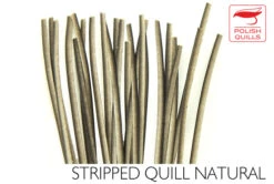 Polish Stripped Quills: Stripped Peacock Herl Natural And Dyed ( See Info Below Before Ordering !!! ) 15 Polish Stripped Quills: Stripped Peacock Herl Natural And Dyed ( See Info Below Before Ordering !!! ) -Fly Fishing Equipment Shop pq1