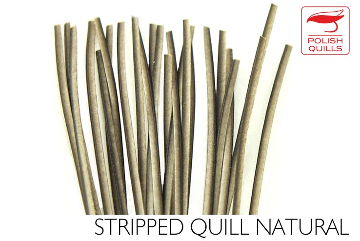 Polish Stripped Quills: Stripped Peacock Herl Natural And Dyed ( See Info Below Before Ordering !!! ) 4 Polish Stripped Quills: Stripped Peacock Herl Natural And Dyed ( See Info Below Before Ordering !!! ) - Image 2