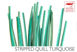 Polish Stripped Quills: Stripped Peacock Herl Natural And Dyed ( See Info Below Before Ordering !!! ) 25 Polish Stripped Quills: Stripped Peacock Herl Natural And Dyed ( See Info Below Before Ordering !!! ) -Fly Fishing Equipment Shop pq12