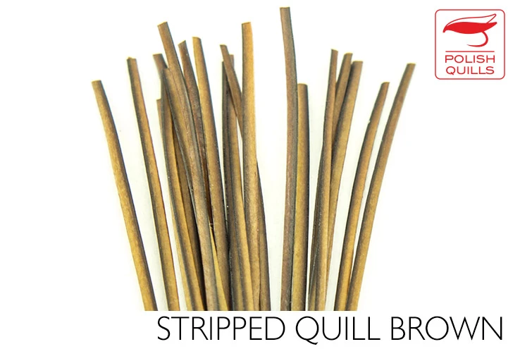 Polish Stripped Quills: Stripped Peacock Herl Natural And Dyed ( See Info Below Before Ordering !!! ) 6 Polish Stripped Quills: Stripped Peacock Herl Natural And Dyed ( See Info Below Before Ordering !!! ) - Image 4
