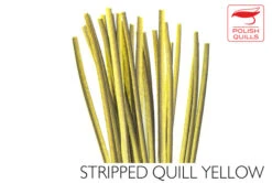 Polish Stripped Quills: Stripped Peacock Herl Natural And Dyed ( See Info Below Before Ordering !!! ) 18 Polish Stripped Quills: Stripped Peacock Herl Natural And Dyed ( See Info Below Before Ordering !!! ) -Fly Fishing Equipment Shop pq4