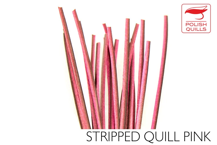 Polish Stripped Quills: Stripped Peacock Herl Natural And Dyed ( See Info Below Before Ordering !!! ) 8 Polish Stripped Quills: Stripped Peacock Herl Natural And Dyed ( See Info Below Before Ordering !!! ) - Image 6