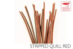 Polish Stripped Quills: Stripped Peacock Herl Natural And Dyed ( See Info Below Before Ordering !!! ) 21 Polish Stripped Quills: Stripped Peacock Herl Natural And Dyed ( See Info Below Before Ordering !!! ) -Fly Fishing Equipment Shop pq7