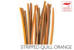 Polish Stripped Quills: Stripped Peacock Herl Natural And Dyed ( See Info Below Before Ordering !!! ) 22 Polish Stripped Quills: Stripped Peacock Herl Natural And Dyed ( See Info Below Before Ordering !!! ) -Fly Fishing Equipment Shop pq8