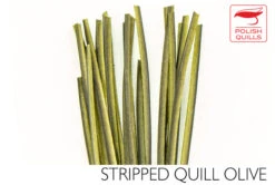 Polish Stripped Quills: Stripped Peacock Herl Natural And Dyed ( See Info Below Before Ordering !!! ) 23 Polish Stripped Quills: Stripped Peacock Herl Natural And Dyed ( See Info Below Before Ordering !!! ) -Fly Fishing Equipment Shop pq9