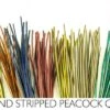Polish Stripped Quills: Stripped Peacock Herl Natural And Dyed ( See Info Below Before Ordering !!! ) 2 Polish Stripped Quills: Stripped Peacock Herl Natural And Dyed ( See Info Below Before Ordering !!! ) -Fly Fishing Equipment Shop pqa