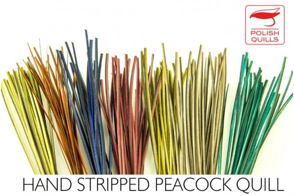 Polish Stripped Quills: Stripped Peacock Herl Natural And Dyed ( See Info Below Before Ordering !!! ) 3 Polish Stripped Quills: Stripped Peacock Herl Natural And Dyed ( See Info Below Before Ordering !!! )