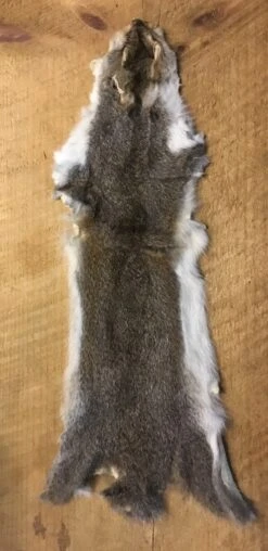 Complete Pine Squirrel Hide ( Tanned Or Dried )