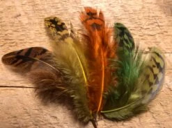 Nature’s Spirit Premium Sharptail Grouse Packs