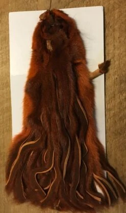 Complete Pine Squirrel Hide Tanned Zonkered ( AKA Pine Squirrel Saddle ) 10 Complete Pine Squirrel Hide Tanned Zonkered ( AKA Pine Squirrel Saddle ) -Fly Fishing Equipment Shop pszp2