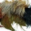 Strung Ringneck Rump Feathers 1 Strung Ringneck Rump Feathers -Fly Fishing Equipment Shop ringnech rump strung e1669473404240