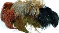 Strung Ringneck Rump Feathers