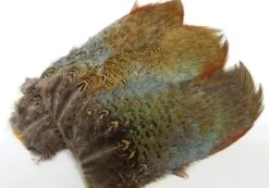 Ringneck Pheasant Saddle Patch