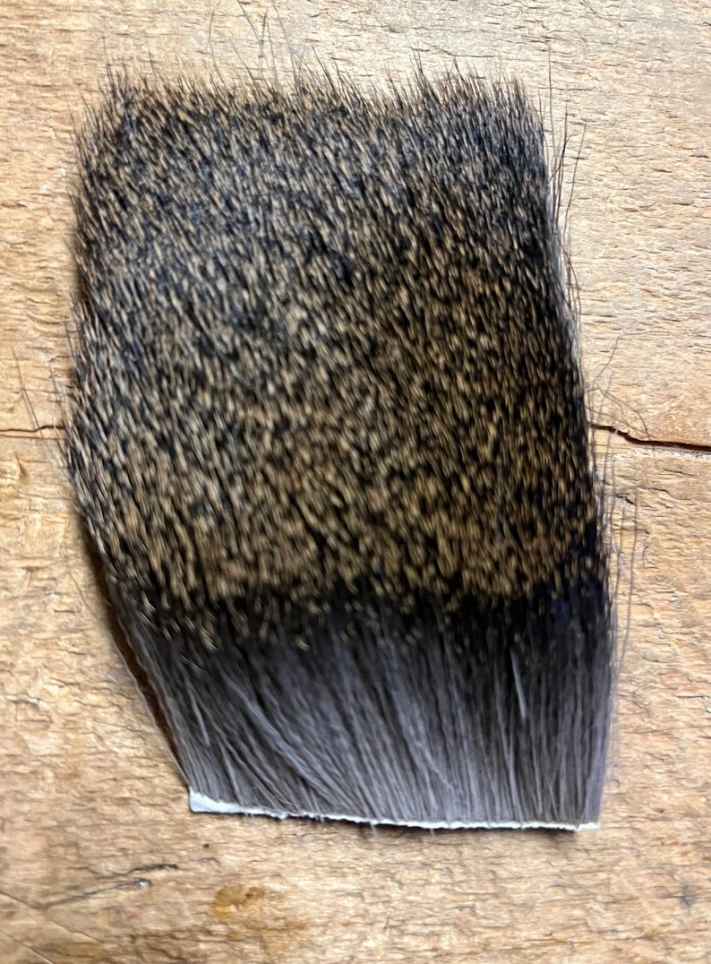 Badger Creek UK Roe Deer 3 Badger Creek UK Roe Deer