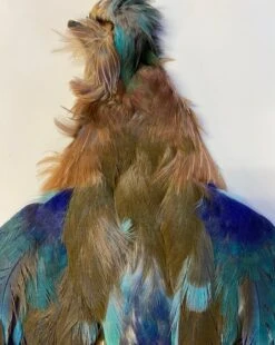 Indian Roller 5 Indian Roller -Fly Fishing Equipment Shop roller2