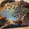 Ringneck Pheasant Skin 1 Ringneck Pheasant Skin -Fly Fishing Equipment Shop rpheas