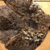 Ruffed Grouse Pelt 1 Ruffed Grouse Pelt -Fly Fishing Equipment Shop ruffp