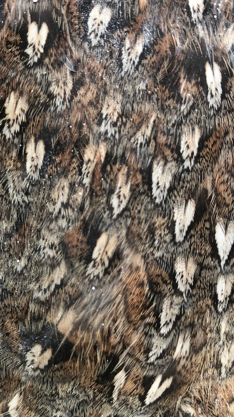 Ruffed Grouse Pelt 5 Ruffed Grouse Pelt - Image 3