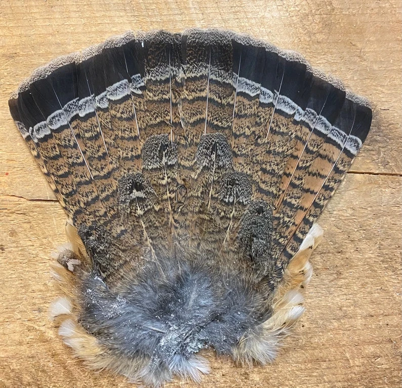 Ruffed Grouse Tail, Natural And Red Phase 3 Ruffed Grouse Tail, Natural And Red Phase