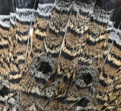 Ruffed Grouse Pelt 9 Ruffed Grouse Pelt -Fly Fishing Equipment Shop ruffrtclose