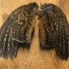 Ruffed Grouse Wing Pairs Natural And Dyed 1 Ruffed Grouse Wing Pairs Natural And Dyed -Fly Fishing Equipment Shop ruffw