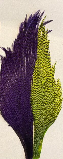 Hareline-Keough Tyers 4 Color Dyed Grizzly Salmon Steelhead Starter Cape Set 7 Hareline-Keough Tyers 4 Color Dyed Grizzly Salmon Steelhead Starter Cape Set -Fly Fishing Equipment Shop s43