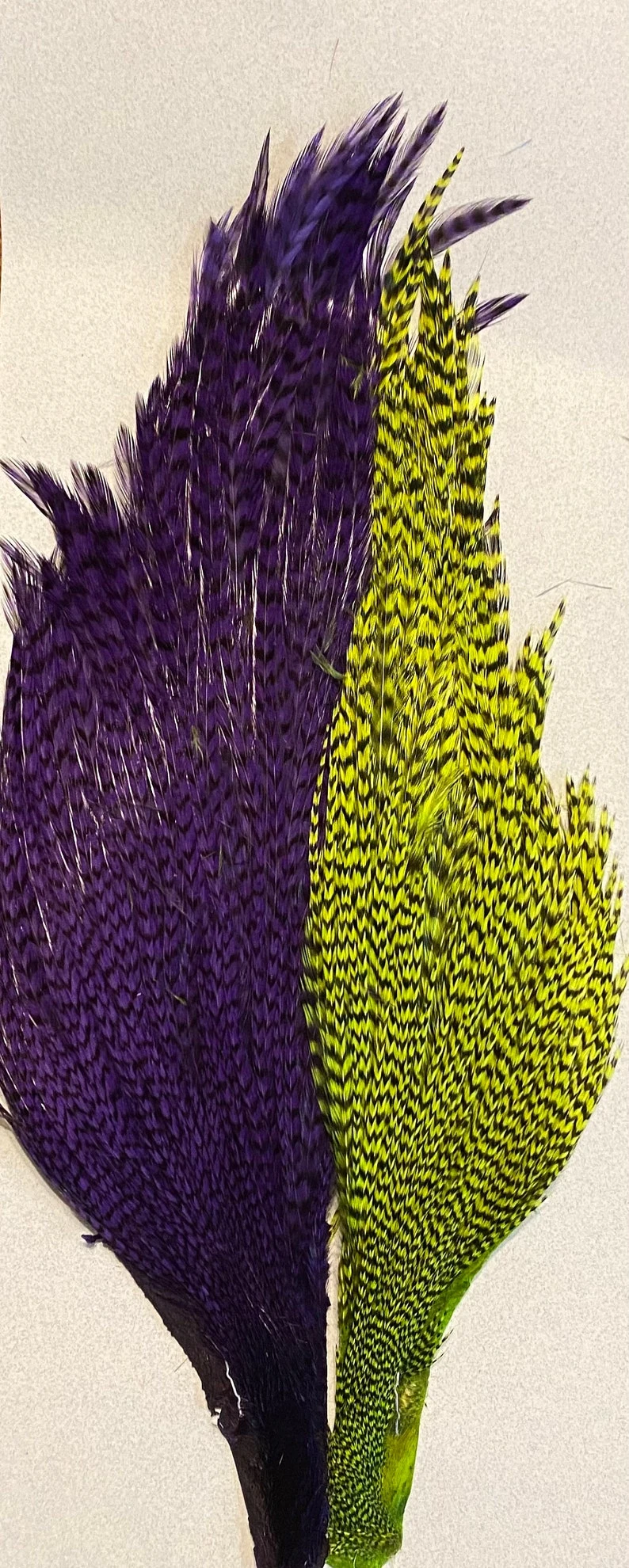 Hareline-Keough Tyers 4 Color Dyed Grizzly Salmon Steelhead Starter Cape Set 5 Hareline-Keough Tyers 4 Color Dyed Grizzly Salmon Steelhead Starter Cape Set - Image 3