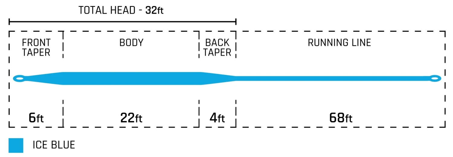 Cortland Striped Bass Intermediate, Cold Salt Series 4 Cortland Striped Bass Intermediate, Cold Salt Series - Image 2