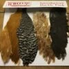 Whiting Farms Soft Hackle Pack 2 Whiting Farms Soft Hackle Pack -Fly Fishing Equipment Shop shp1