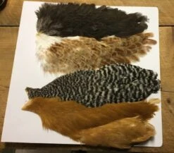 Whiting Farms Soft Hackle Pack 5 Whiting Farms Soft Hackle Pack -Fly Fishing Equipment Shop shp2